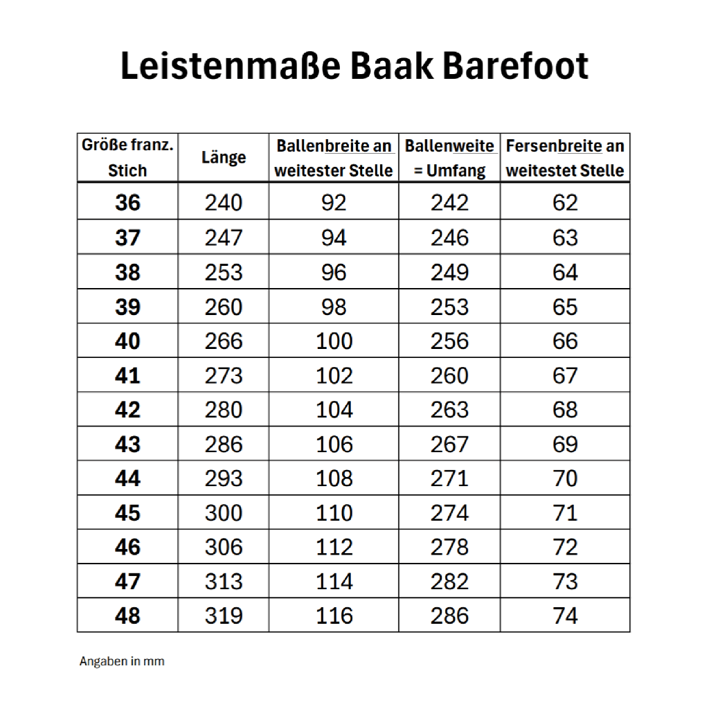 BAAK Sicherheitschuh Phoenix S3S