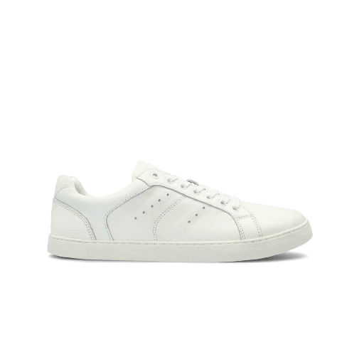 GROUNDIES Universe Men White